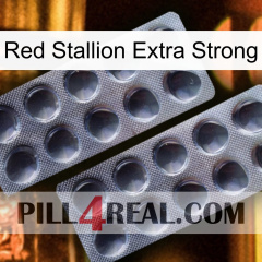 Red Stallion Extra Strong 31